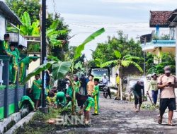 Jalan Rusak 30 Tahun, Warga Dusun Kemirigale Tanami Pohon Pisang