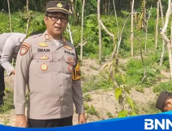 Polres Jombang Kembangkan Uwi Ungu di Kudu, Perkuat Ketahanan Pangan Alternatif Nasional